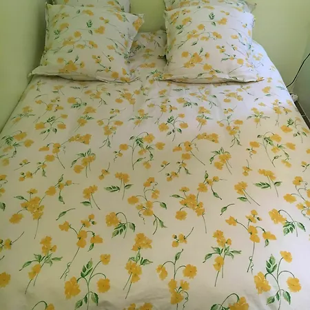 Primavera Vieux Apartment